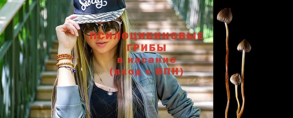 apvp Балахна