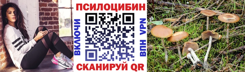 наркота  Волосово  гидра зеркало  Галлюциногенные грибы мухоморы 