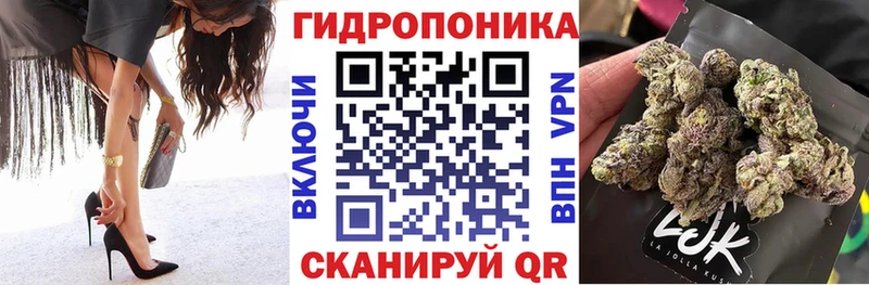 Марихуана план Волосово